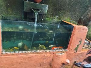 Rumahku Bali Executive