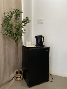 Villa Talisay Streetside Studio