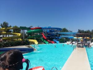 Futura Club Albatros