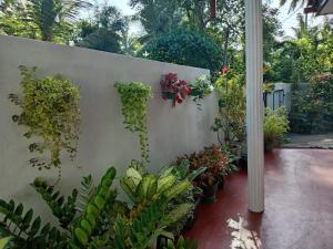 Coco One Holiday Inn