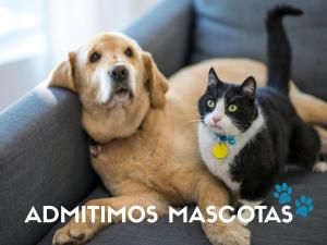 Apartamentos Lowcost Benicarlo 3000