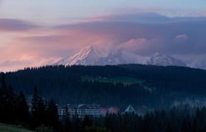 Hotel BUKOVINA