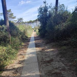 GoldenSand mobilehome