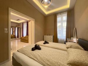 Budapest Castle and Chain-bridge Apartment