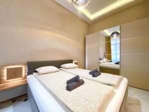 Budapest Castle and Chain-bridge Apartment
