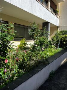 Lovely and Spacious apartment