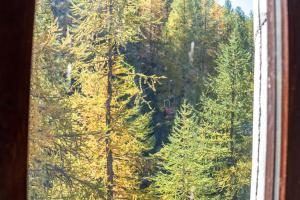 HelloCHALET Le Bois du Cervin - Matterhorn View, Ski-In Ski-Out