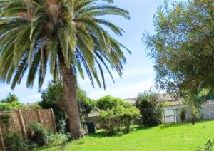 Jardin-Marin-Ajaccio