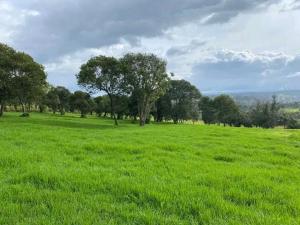 Aberdare Juniper Green Gardens Resort