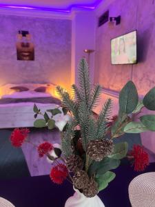 Casa de Vacanta Razvan si Andrei