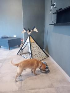 Departamento zona estadio Kempes