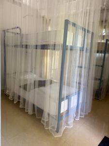 Hive Ella - Hostel