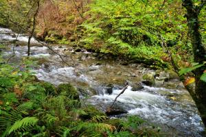 Finest Retreats - Pandy Traditional Yurt