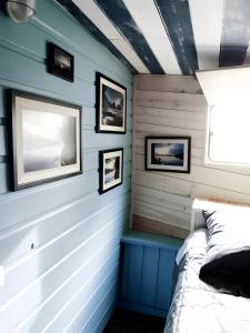 Toue Cabanée Au Bord Dun Etang