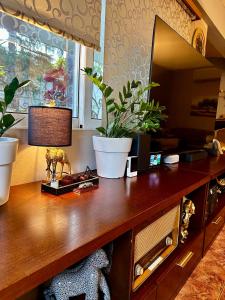 luxury house airport