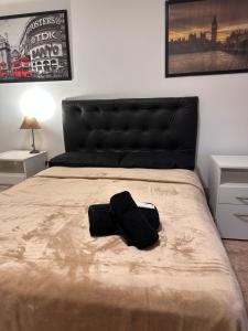 Trainer Center House