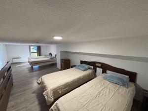 Duplex 6 pers, skis aux pieds, piscine & sauna - LAlpe dHuez - FR-1-405-211