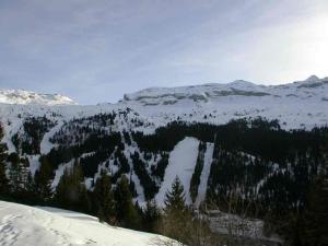 Studio Cabine 5p Résidence Sagittaire, Flaine Forêt, Proche Pistes et Commerces - FR-1-687-9