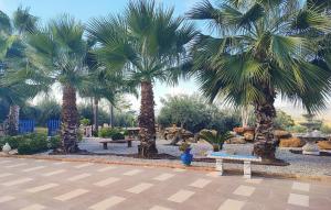 Amazing Home In San Cipirello With Swimming Pool