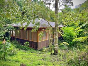 River Cabin 1BR Breathtaking Chirripó Retreat