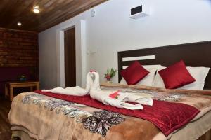 Naturehunt homestays