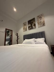 Harohi Hotel and Residence