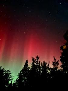 Nature Escape in Luxury Yurt Retreat with Lake & Park