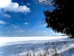 Nature Escape in Luxury Yurt Retreat with Lake & Park