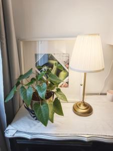 Notre Dame in Latin Quarter Stylish Flat for 6