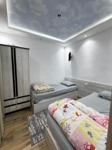 New Shark Apartment first line