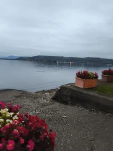 house Benedetta & Gloria on the lake