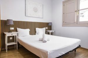 NOMADIA en MITJANA SQUARE