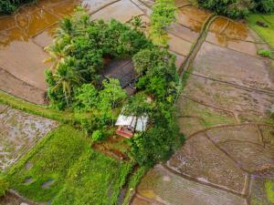 Forest & Fields Sinharaja - A Tale of 2 Villas