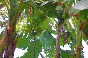 Stef Surf Villa El Delfin