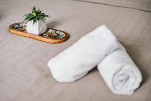 Deluxe Hillside Apartment Near City Center