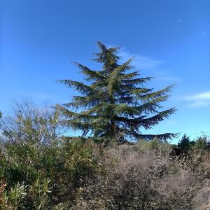 Centre Luberon, duplex Limonite