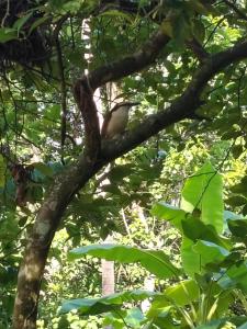 Glamping Jazayma Dentro del Parque Tayrona