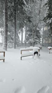 Chalet del Lago Laceno