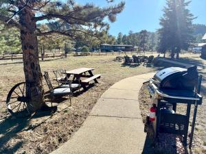 Mountain Shadows Resort