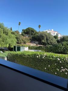 Apartamento Machadinho