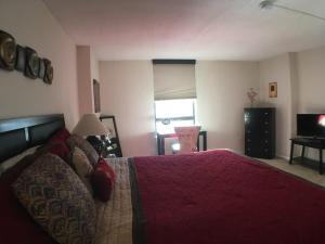 Brooks Tower Downtown Denver Furnished Apartment