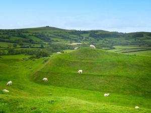 9 Bed in Hay-on-Wye 73069