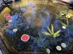 Старий Млин