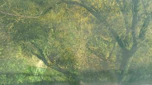 Cozy Studio East-Side