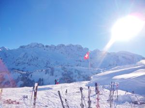 Appartements Studio Romand proche Morzine : photos des chambres