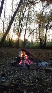 Hermosa casa en el río - Delta Tigre