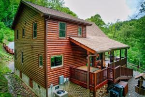 A Beary Nice Cabin