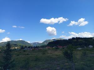 Guess House Tara Studio