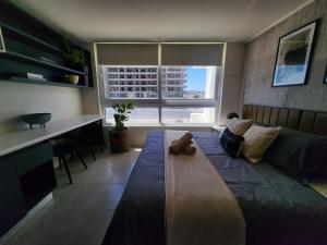 HOM l Wifi Piscina Cowork Parking Costa Serena Mar
