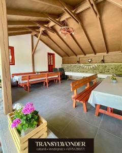 Cabana Transylwonder